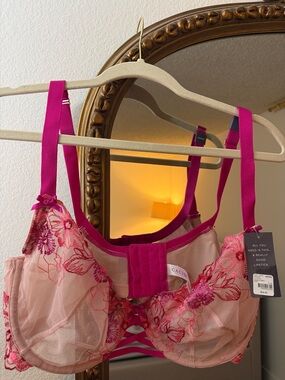 Cacique Pink & Fuchsia Embroidered Lace Underwire Bra